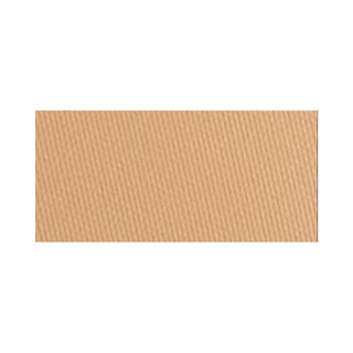 Clinique Almost Makeup SPF 15 05 Media 10 g — Cipria Compatta