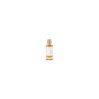 Dr. hauschka تونر للوجه 100 مل