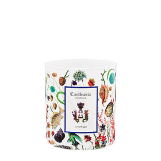 Carthusia Domus A Mmare Relaxing Scented Candle 300g