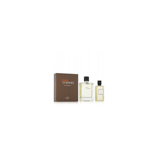 Hermès Terre D'Hermes Eau De Toilette Spray Sæt 100ml 2 Stk