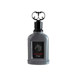 Zimaya Stallion Uomo 100 ml — Eau de Parfum
