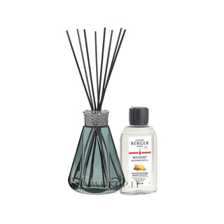 Maison berger paris Piramide Vintage Verde 200 ml — Set Diffusore Aromi