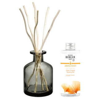 Maison berger paris Aroma-Geschenkset Energy grauer Diffusor + Nachfüllung Fresh Tonikum 200 ml