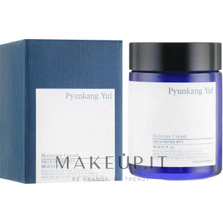 Pyunkang yul Crema idratante 100 ml — Crema viso