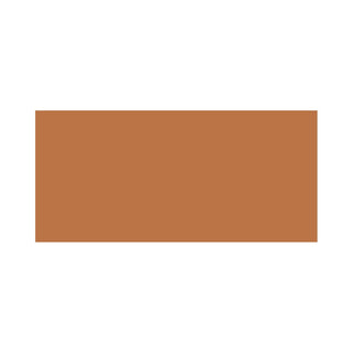 Stila cosmetics Studio Radiance Fondotinta Viso Corpo Radiant Sheer Foundation C5 50 ml — Fondotinta viso corpo