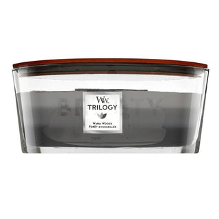 WoodWick Warm Woods Trilogy Ship Candela 453,6 g — Candela