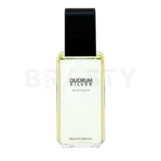 Antonio puig Quorum Silver EDT - 100 ml