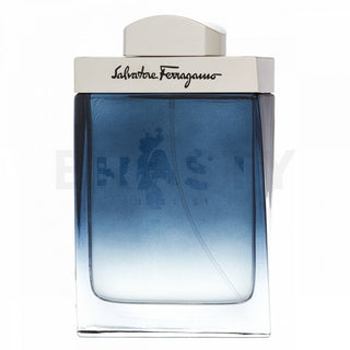 Salvatore ferragamo Subtil pro muže EDT - 100 ml