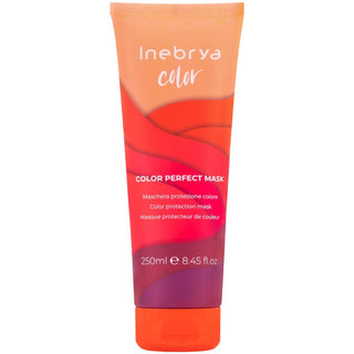 Mask Inebrya Färgperfekt 250ml
