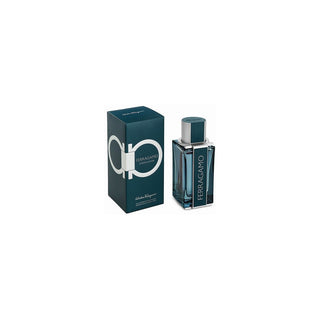Salvatore Ferragamo 펠레 인텐사 - 오 드 퍼퓸 100ml 