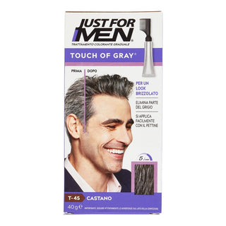 Just For Men Touch of Grey - Gradvis hårfärg för män 40 g T45 