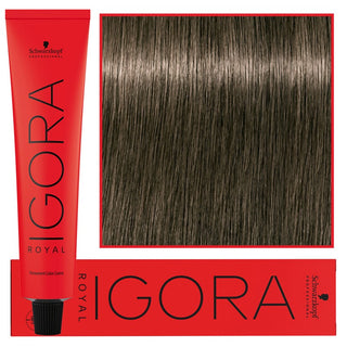 Schwarzkopf Professional Igora Royal Pysyvä hiusväri 60 ml 6-1 | Tumma tuhkanvaalea 