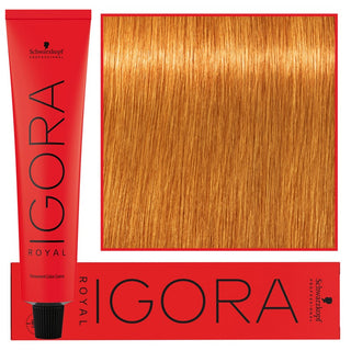 Schwarzkopf Профессиональная стойкая крем-краска для волос Igora Royal 60 мл 9-7 | Экстрасветлый медно-русый 