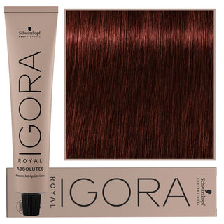 Schwarzkopf Профессиональная стойкая краска для волос Igora Royal Absolutes с коллагеном 60 мл 5-80 | Светло-каштановый натуральный красный 