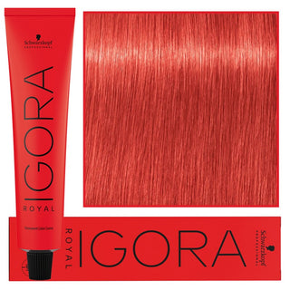 Schwarzkopf Professionel Igora Royal Permanent hårfarve 60 ml 0-88 | Rødkoncentrat 