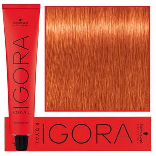 Schwarzkopf Professionel Igora Royal Permanent hårfarve 60 ml 0-77 | Kobberkoncentrat 