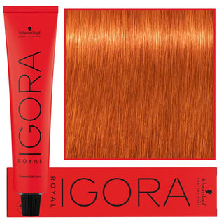 Schwarzkopf Professional Igora Royal Vopsea Permanentă de Păr 60ml 8-77 | Blond Deschis Cupru Extra 