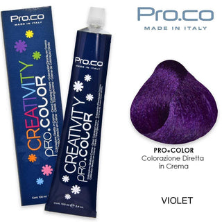 Creativity Pro.Color 100ml Viola — Colorante semi-permanente
