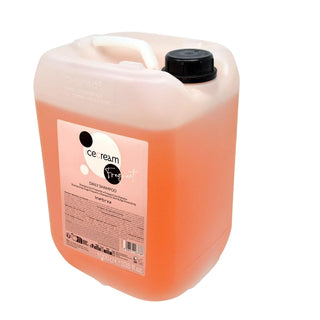 Inebrya Daily Shampoo 10 Litri — Shampoo