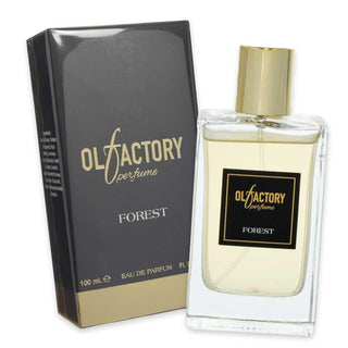 Olfactory Edp Foresta 100 ml — Eau de Parfum