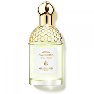 Guerlain Aqua Allegoria Herba Fresca EDT U 75 ml 