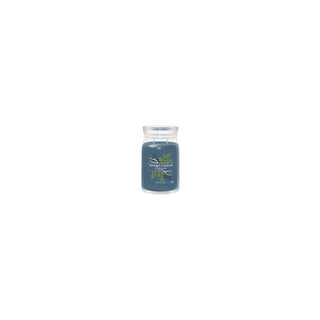 Yankee Candle Bayside Cedar 368 g — Candela Profumata