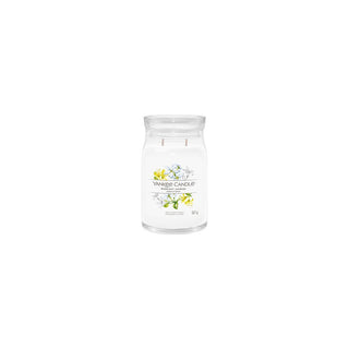 Yankee Candle Midnight Jasmine 368 g 