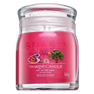 Yankee Candle Art In The Park 368 g 