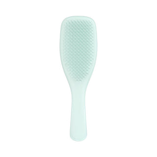 Tangle teezer Spazzola districante Ultimate Detangler Fine e Fragile Blu Ghiaccio
