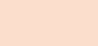 Tirtir Make-Up Mask Fit Red Foundation 30 ml - Tonalità: 15C Fair Porcelain