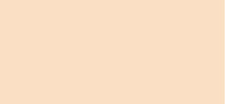 Tirtir Make-Up Mask Fit Red Foundation 30 ml - Shade: 17N Vanilla