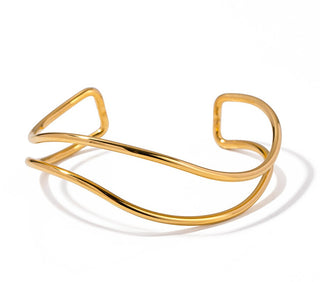 Troli Elegante Solid Steel Bracelet Vaajdb2308041G 