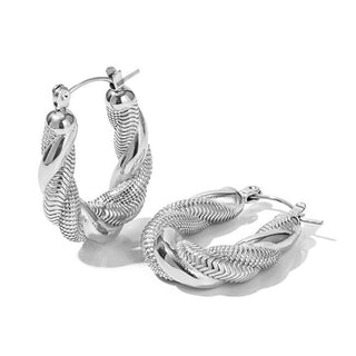 Troli Luxury steel hoop Orecchini VAAJDE202010S