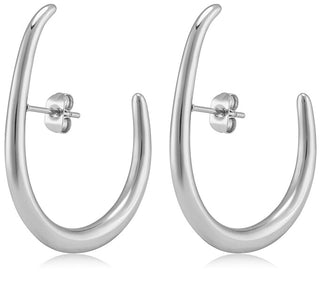 Troli Original Steel Earrings Vaajde201761S 