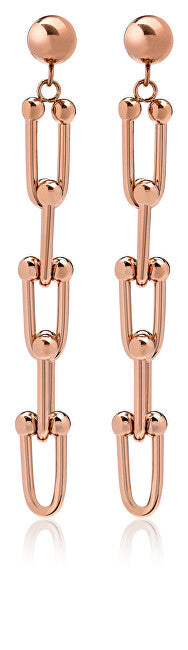 Troli Orecchini Moderni In Bronzo Realizzati In Acciaio Vese0585Rg