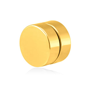 Troli Single Magnetic Earring Gold Plated 2 In 1 (Stone, Mini Brooch) Vse6018G-Pet 