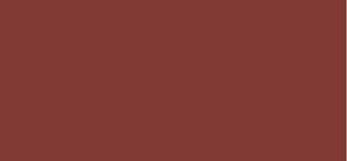Trouble maker Shimmie Gloss 3 ml - Tonalità: New Stakes Brown