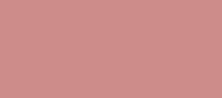 L'Oréal Paris Blush (Perfect Blush Accord) 5 G - Shade: 120 Santalwood Pink 