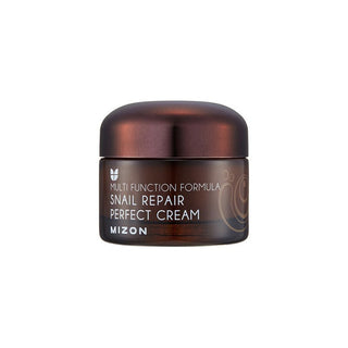 Mizon Crema viso with snail secretion filtrate 60% for problematic skin (Snail Repair Perfect Cream) 50 ml 50ml