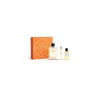 Hermes Terre D´Hermès Set regalo EDT 100 ml, miniature EDT 15 ml and Dopobarba 40 ml 100ml