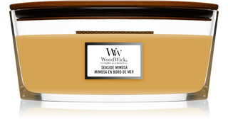 Woodwick Seaside Mimosa Candela 453 g