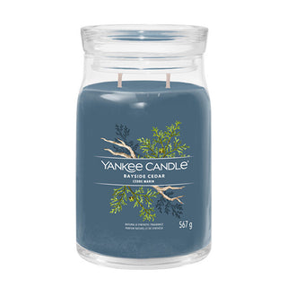Yankee Candle Candela Aromatica Signature In Vetro Grande Bayside Cedar 567 G